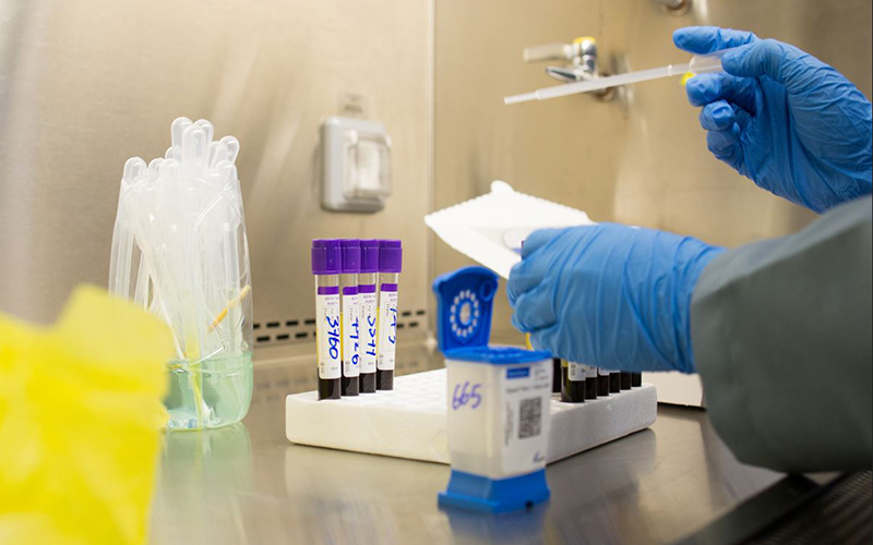 Dans un laboratoire avec une pipette et des contenants, à gauche de la photo, deux mains qui tiennent la pipette.